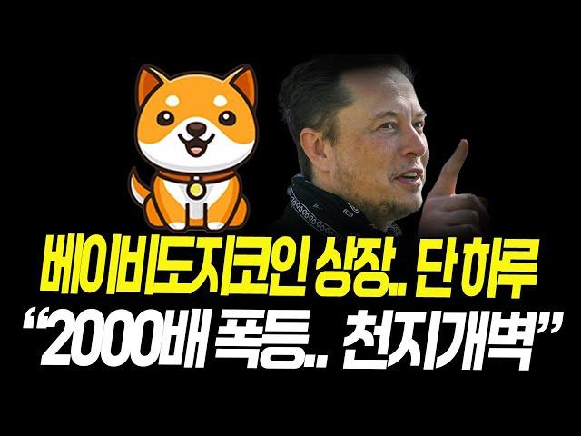 베이비도지코인, 업비트 상장.. D-1 "2000배 폭등.. 천지개벽 수준"