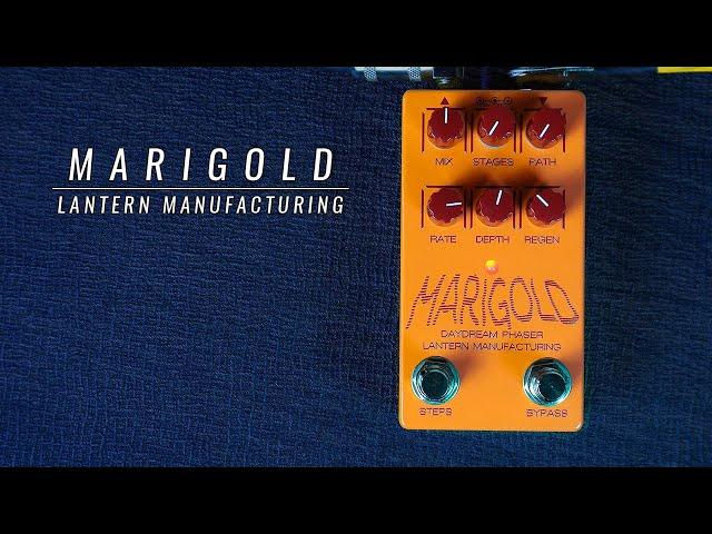 MARIGOLD DAYDREAM PHASER | Lantern Manufacturing