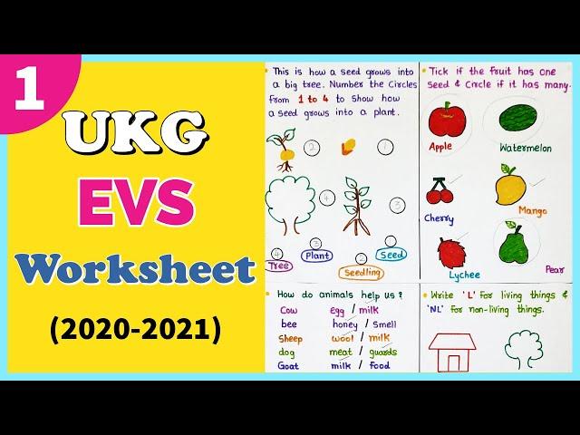 EVS Worksheet for UKG । UKG EVS Worksheet । UKG EVS Syllabus । Part 1