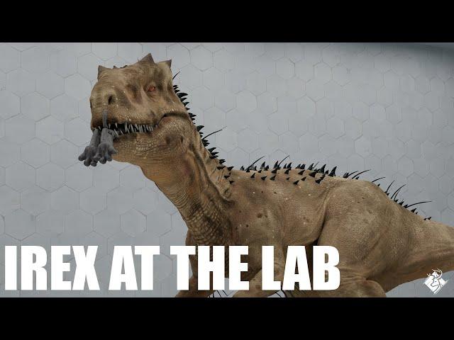 Irex At The Lab