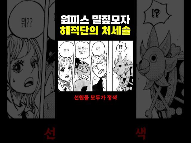원피스) 밀짚모자 해적단의 처세술 .. ㅋㅋ