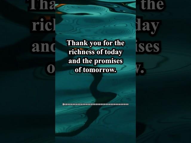 Positive Gratitude Affirmations | Abundance Meditation Affirmations | Thank You Morning Affirmations
