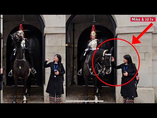 SILLY Disrespectful Tourist PROVOKES Kings Horse Guard! Guard Quickly Responds! Royal Guard,