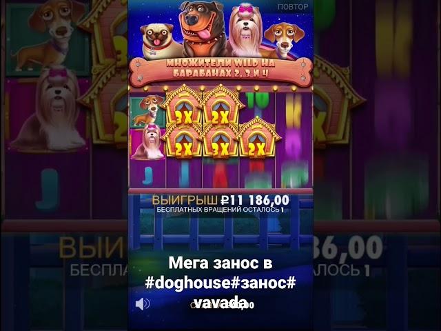 #vavada #занос #отмазка #pragmaticplay #деньги #заносынедели #мегазанос dog house