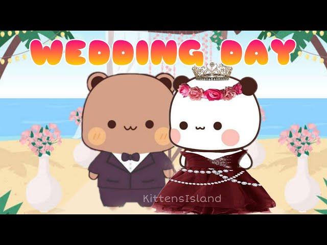 Peach Goma Wedding Day️| Bubu dudu milkmocha cats | KittensIsland