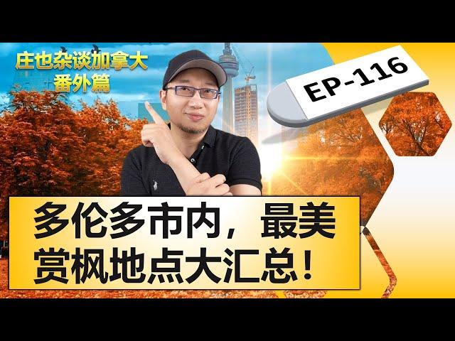 安省多伦多赏枫宝典|多伦多市内赏枫景点大合集！【庄也杂谈加拿大116】