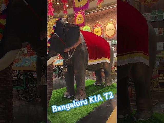 Wow Elephant Inside the Airport #Bangalore KIA T2