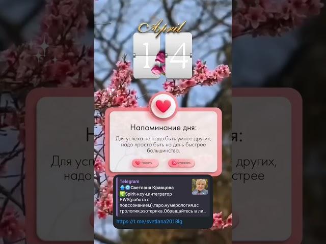 Добрый день, понедельник.