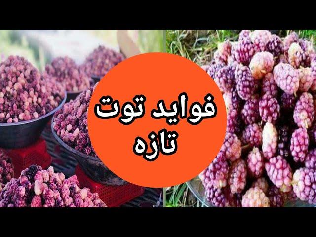 فواید توت تازه