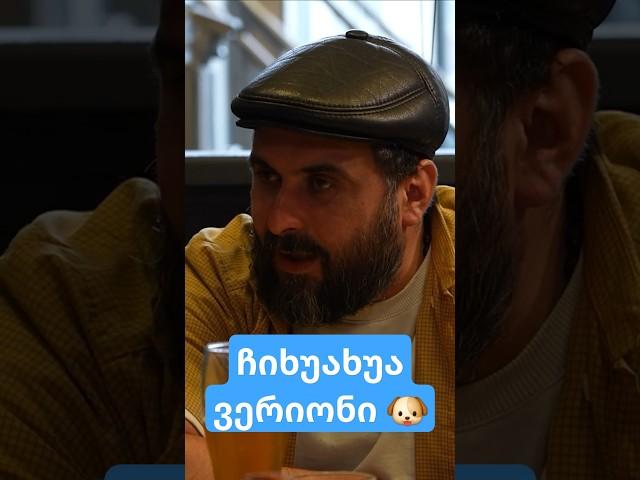 ჩიხუახუა ვერიონი 