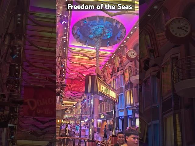 #freedomoftheseas #royalcaribbean #cruisetime #freedomoftheseasatrium #cruiseshiptravel