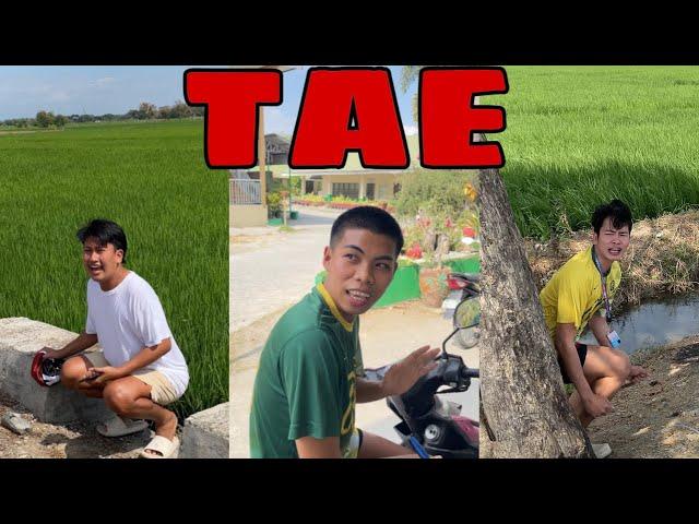 TAE |FUNNY TIKTOK COMPILATION |ROMEO MORENO