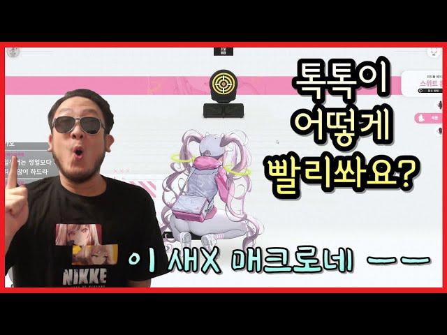 [승리의 여신:니케] 톡톡이학 개론