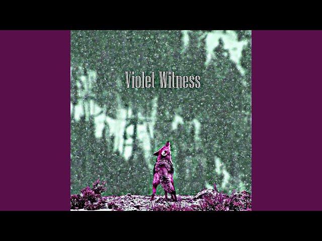 Violet Witness