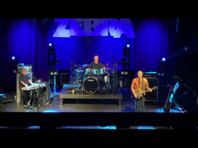 Zebra "Don't Walk Away" (11/8/24 Charlotte, NC) 4K