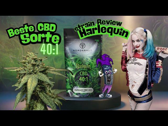 Harlequin CBD Strain Review - Test, Wirkung und Grow