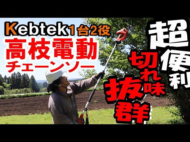 Kebtek｜High-branch electric chainsaw is very convenient and I want one in my family!