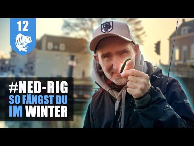 NED-RIG: Die ÜBERFLIEGER-Montage im WINTER.