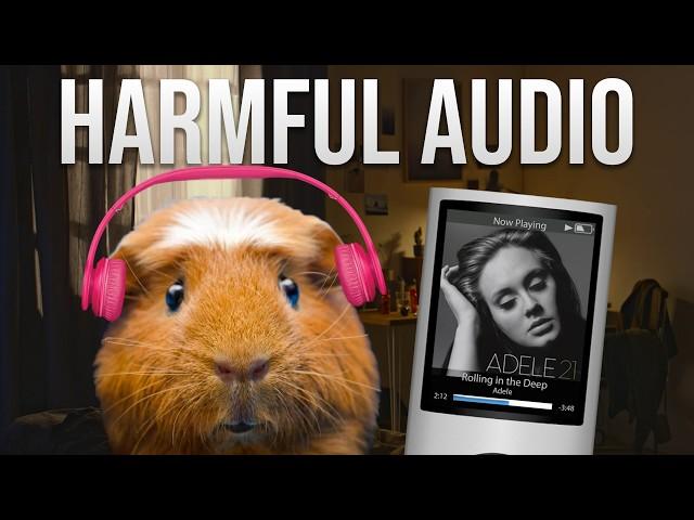 Compressed Audio is worse than we thought
