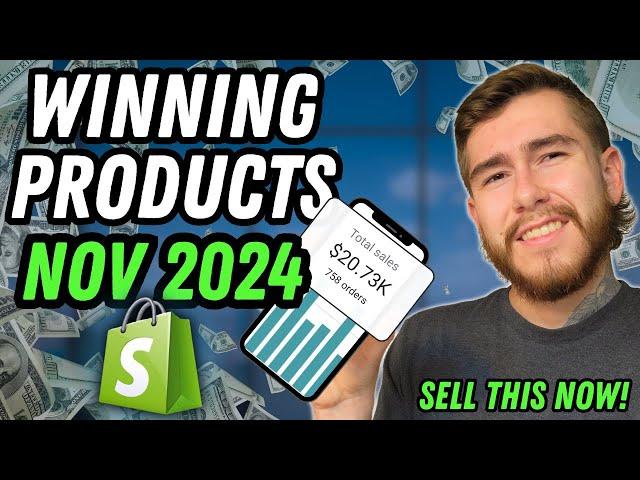 Top 5 Winning Products To Sell NOW (November 2024) | Shopify Dropshipping Trends