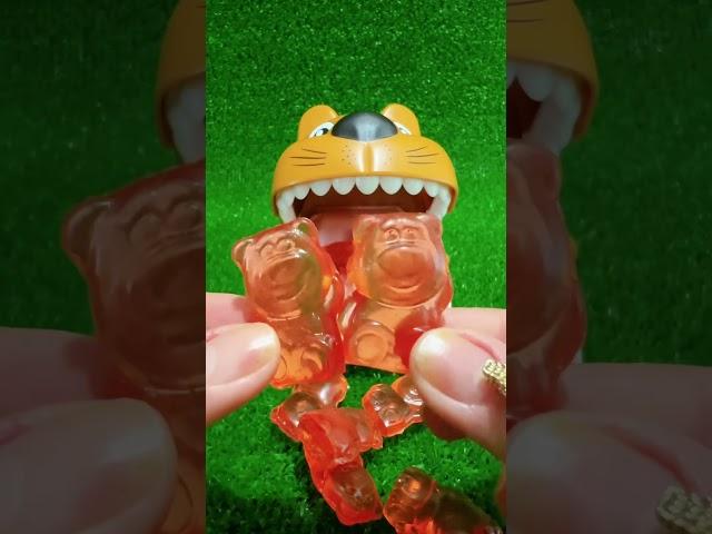 ASMR DOG DENTIST LOVE EATING RED GUMMY CANDY#shortvideo#satisfying#asmr#shorts