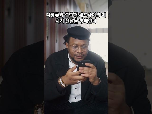 자기 방어 독성 단백질 렉틴