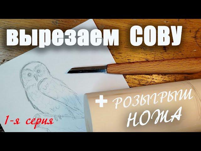 Вырезаем сову. Первая серия. Плюс розыгрыш ножа.