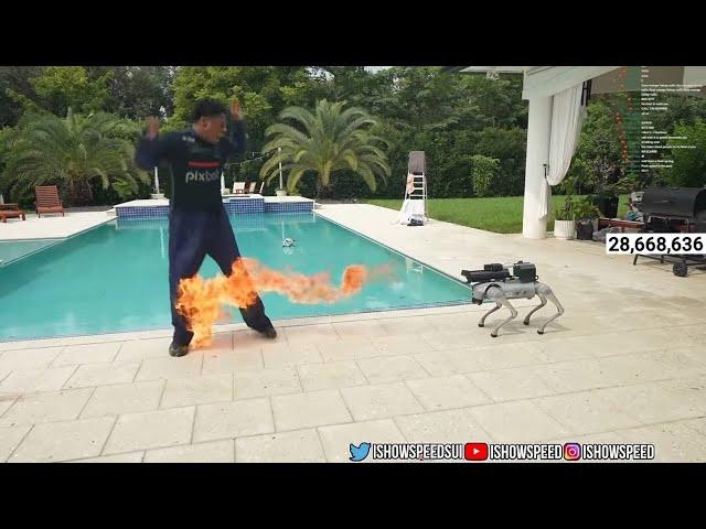 SPEED ROBOT DOG SHOOTS FLAMES AT HIM 