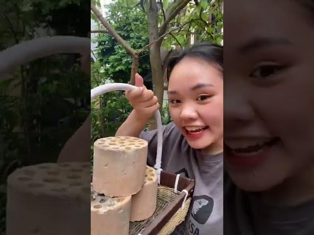 Nuôi mèo không nghèo phần 4 - Thảo Mèo