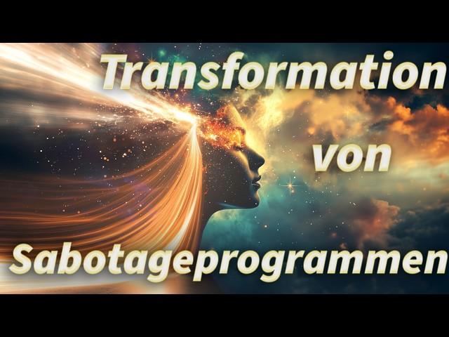 Transformation von Sabotageprogrammen - Botschaften von Salvador - Christiane Hansmann