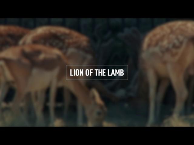BETHEL MUSIC - Lion And The Lamb (Lyric Video)