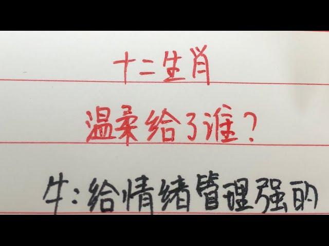 十二生肖/温柔给了谁？#经典 #爱情 #情感