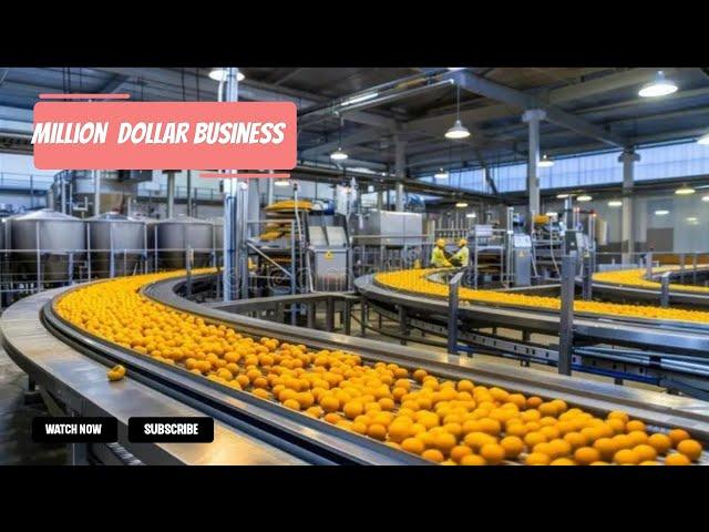 How To Make Millions From Processing 450 Metric Tons Of Oranges Daily Into Juice For Export