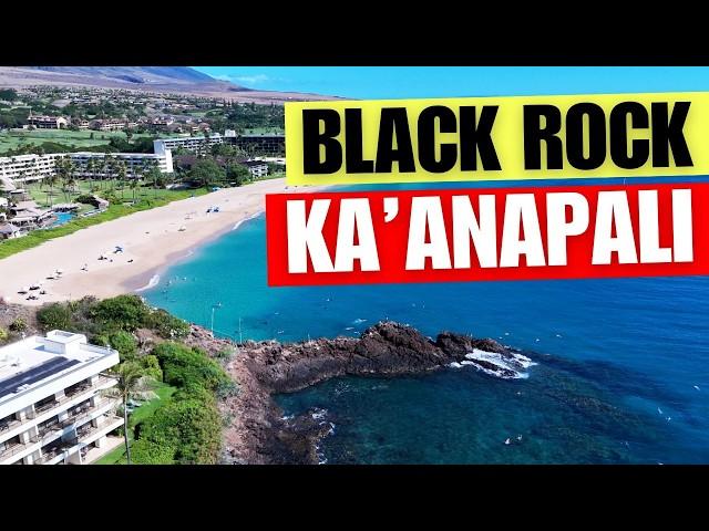 Ultimate Guide to Black Rock, Ka'anapali Maui: Parking, Snorkeling Tips & Sunset Cliff Dive Sheraton