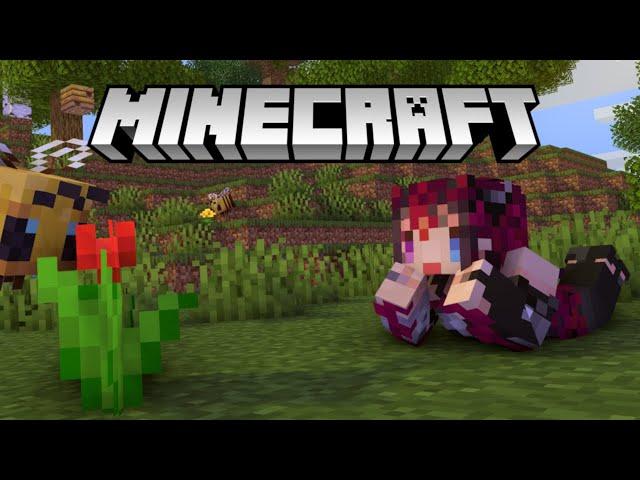 【MINECRAFT】Another Minecraft Adventure