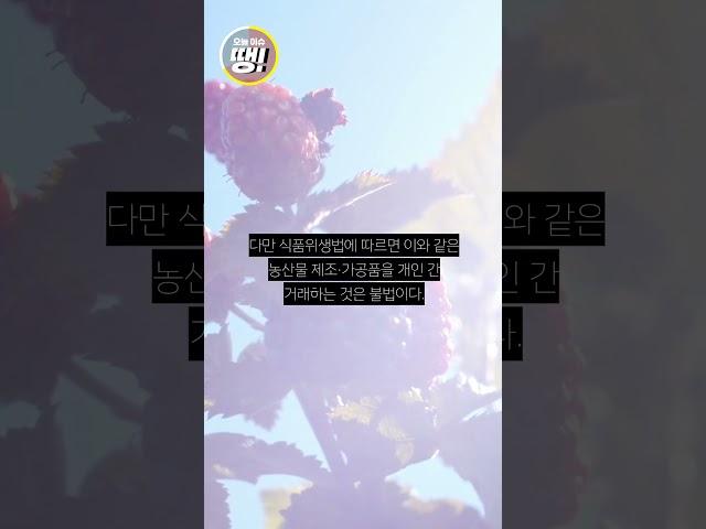 싸다고 샀더니…고춧가루 등 직거래 '불법 주의'
