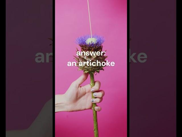 daily trivia | quiz | general knowledge