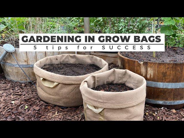 Gardening in GROW BAGS: 5 Tips for SUCCESS