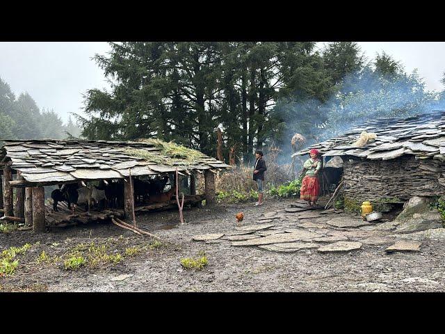Nomadic shepherd life of himalayan nepal | Most peaceful and Relaxing Himalayan Village life |