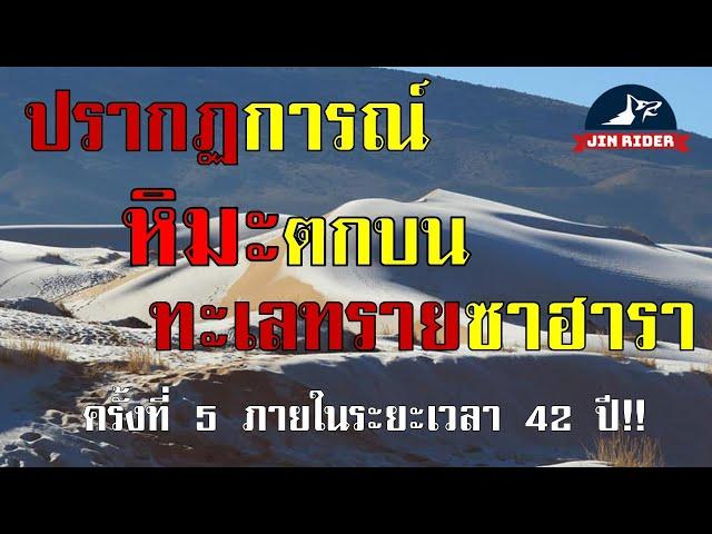 หิมะตก! ในทะเลทราย เหตุการณ์หิมะปกคลุมทะเลทรายซาฮารา