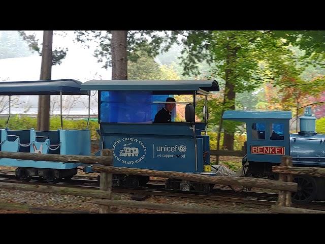 다람쥐가 뛰노는 남이섬 내 꼬마기차 영상 View of Cute Train in NAMI island.Korea