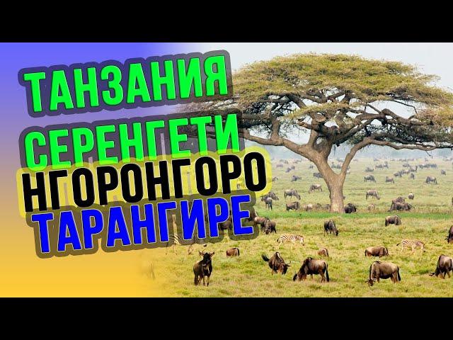 Сафари тур в Танзанию  Парки: Серенгети, Нгоронгоро, Тарангире 