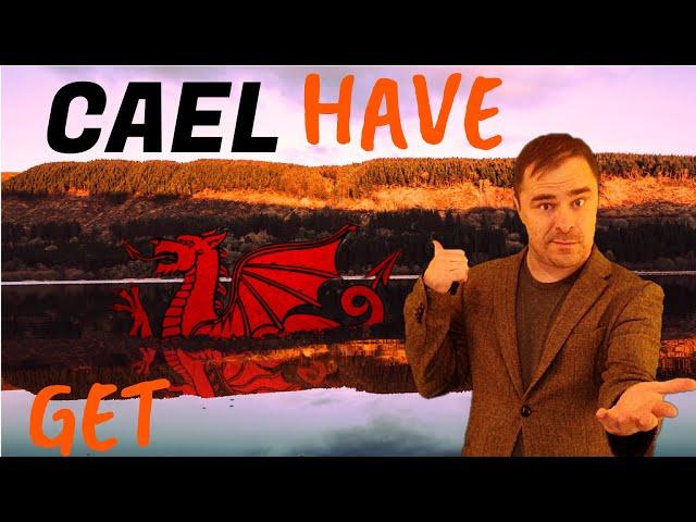 Welsh Language Lesson: CAEL - How 'to have' works in Cymraeg