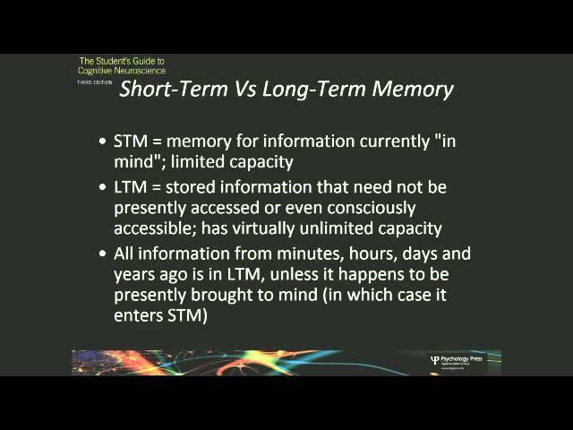 Chapter 9   the remembering brain (3rd edition)