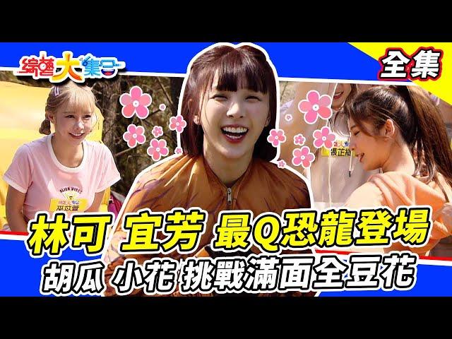【綜藝大集合】林可、宜芳最可愛恐龍裝登場！張家瑋連續兩次獨贏？一起上網吧結局總是令人意外 滿面全豆花重出江湖！？ 2023.3.19  @FTV_Show
