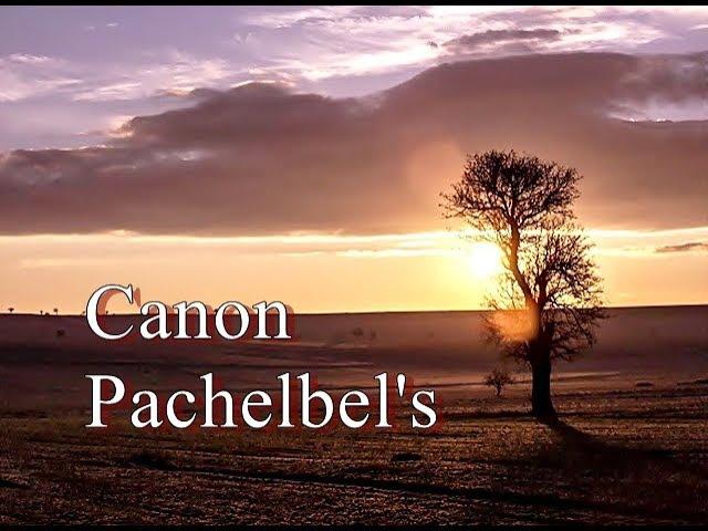  Pachelbel's Canon（帕海貝爾~卡農）