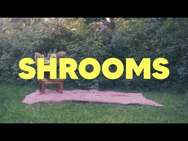 Coral Moons - shrooms [Official Music Video]