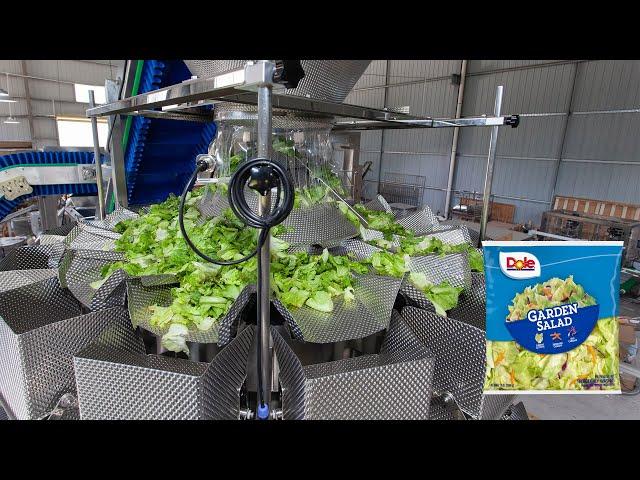 Automatic Vegetable Salad Vertical Pouch Nitrogen Filling Weighing Packaging Machine