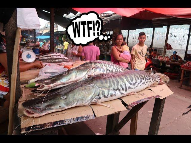 PERUVIAN AMAZON DAY 13; THE MOST EXOTIC MARKET IN THE WORLD! - Dāv Kaufman Vlogs