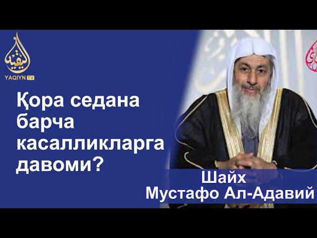 "Қора седана барча касалликларга давоми?" Шайх Мустафо Ал-Адавий